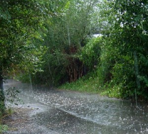 rainy3