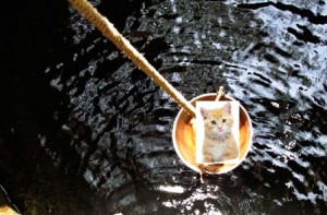 rainy6