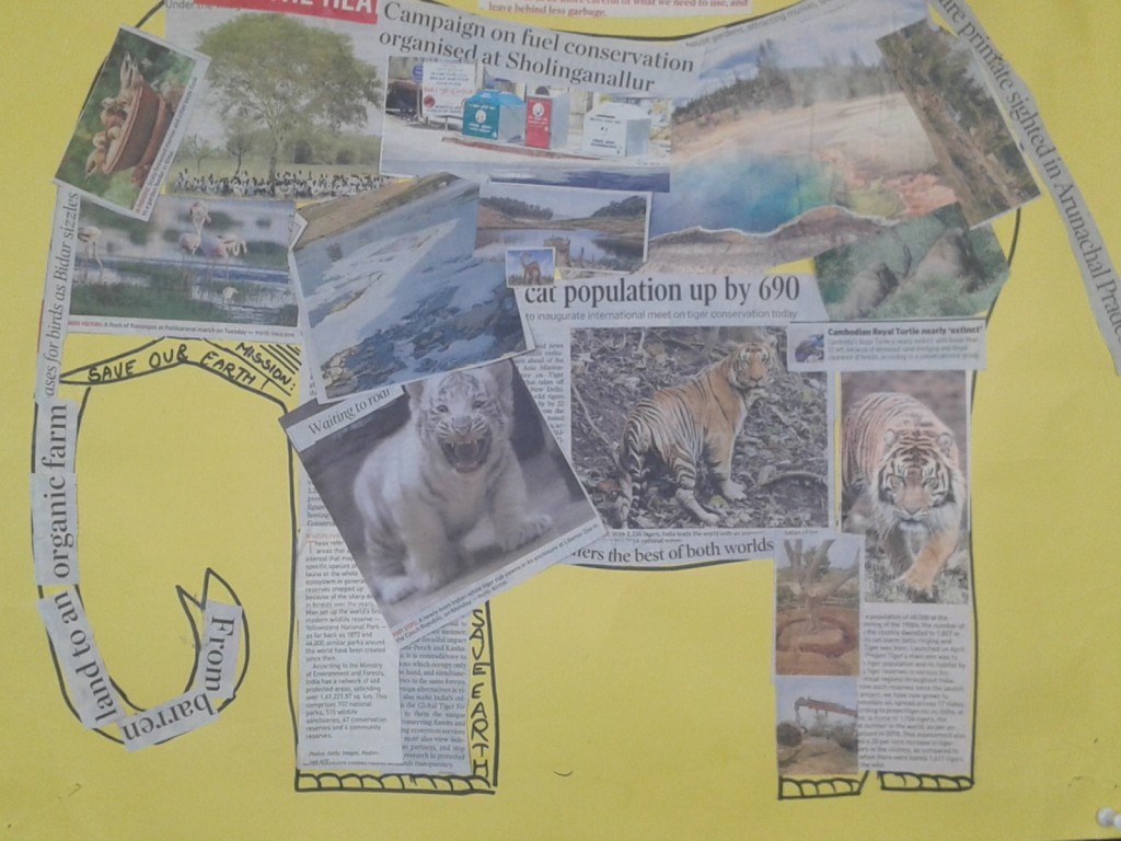 ENVIRONMENT DAY