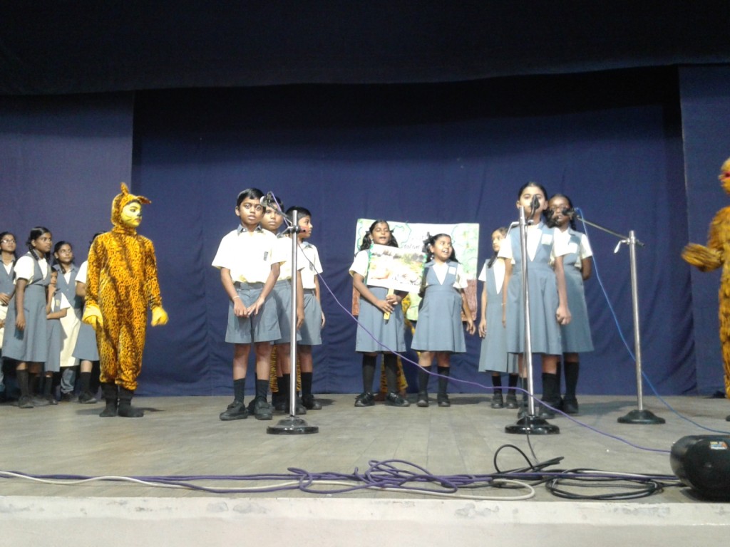 Assembly presentation- save tiger