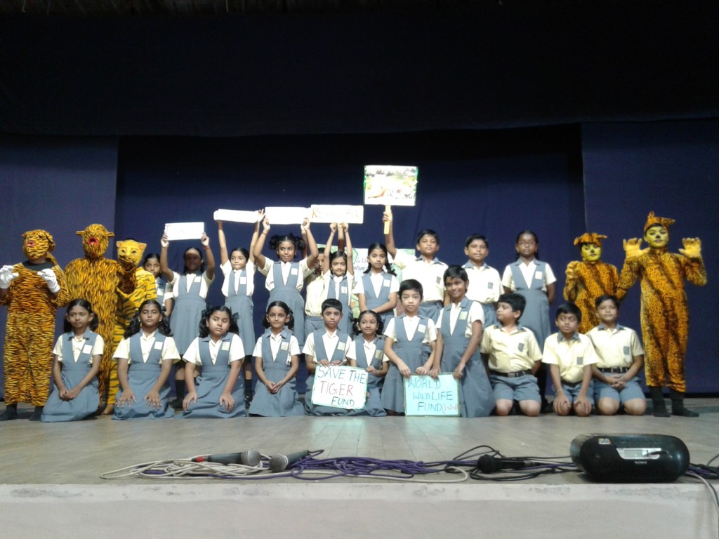Assembly presentation- save tiger