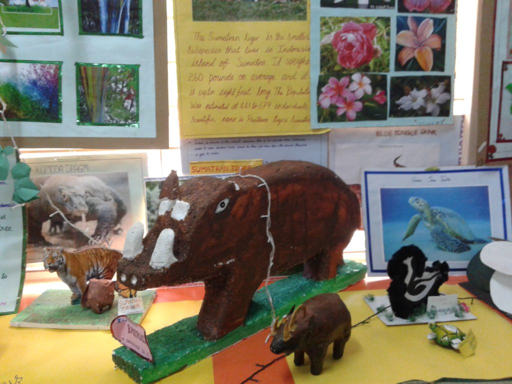 PROJECT DISPLAY- Std III & IV