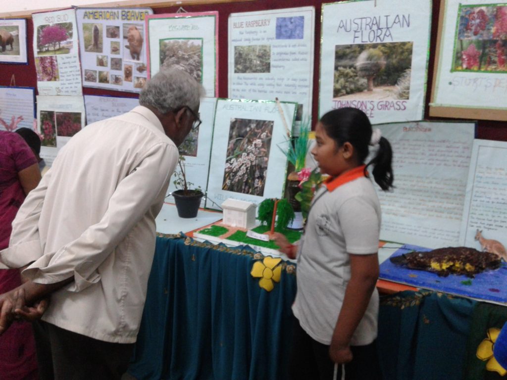 PROJECT DISPLAY- Std III & IV