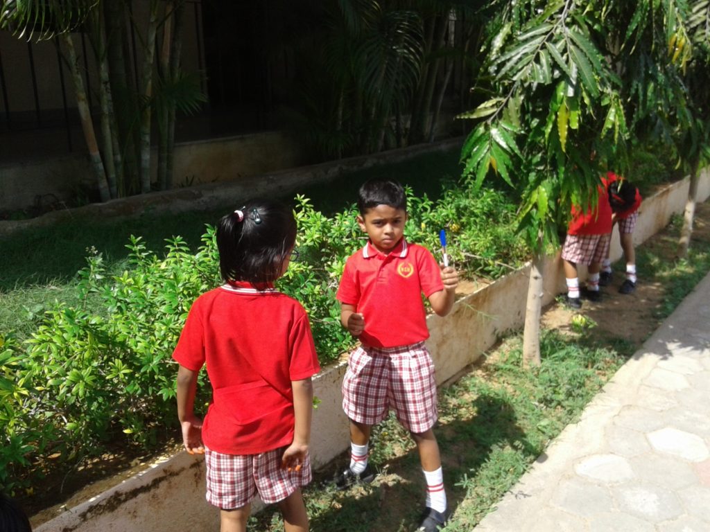 BUNNY ACTIVITY