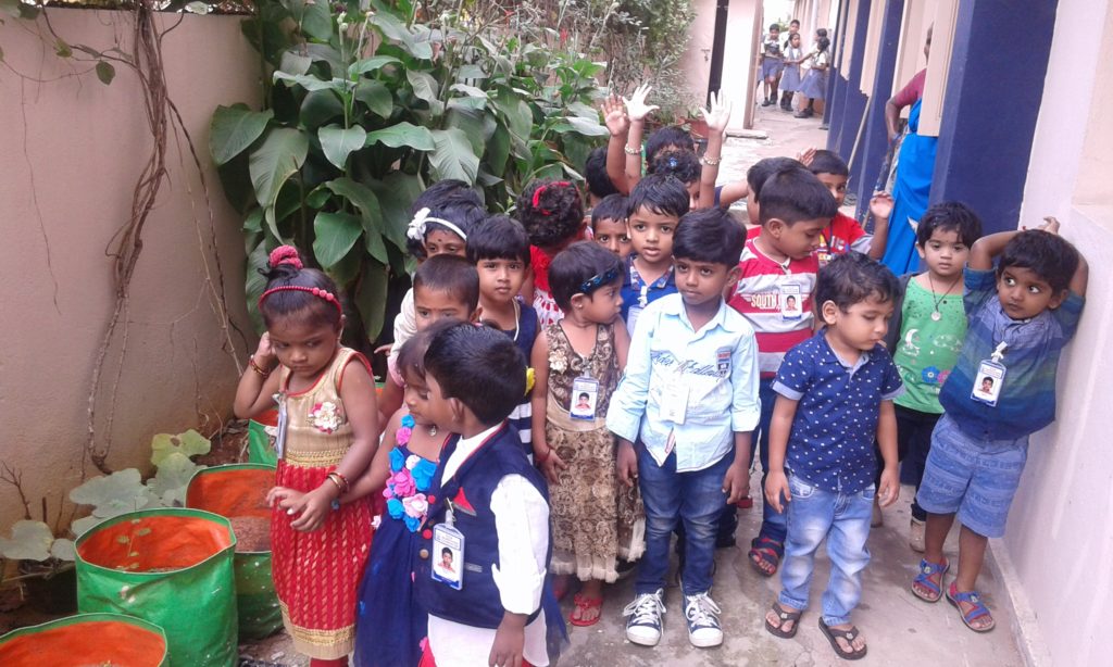 NATURE DAY (KG ACTIVITIES)