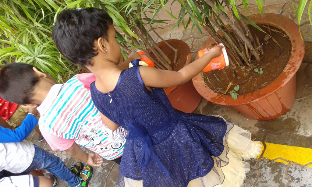 NATURE DAY (KG ACTIVITIES)