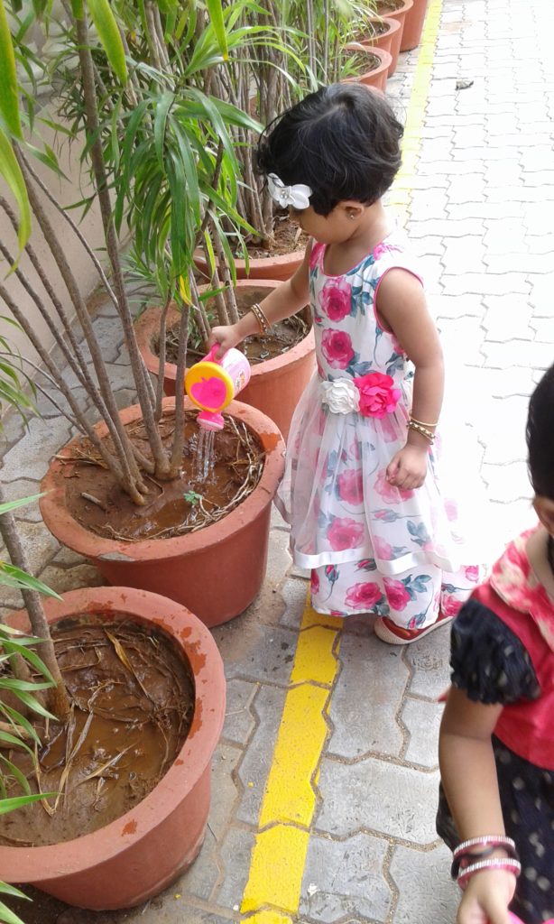 NATURE DAY (KG ACTIVITIES)
