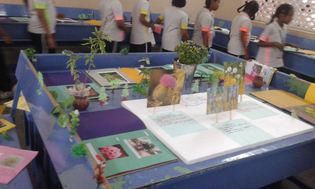 PROJECT DISPLAY IV & V