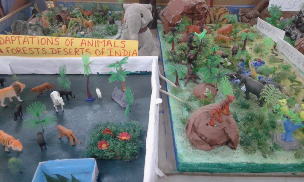 PROJECT DISPLAY IV & V