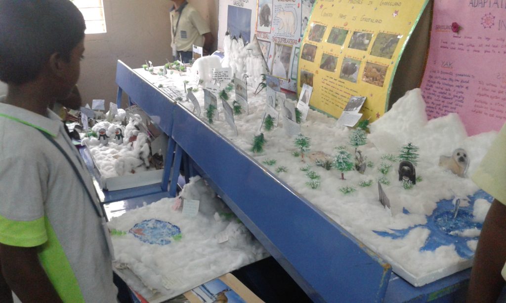 PROJECT DISPLAY IV & V