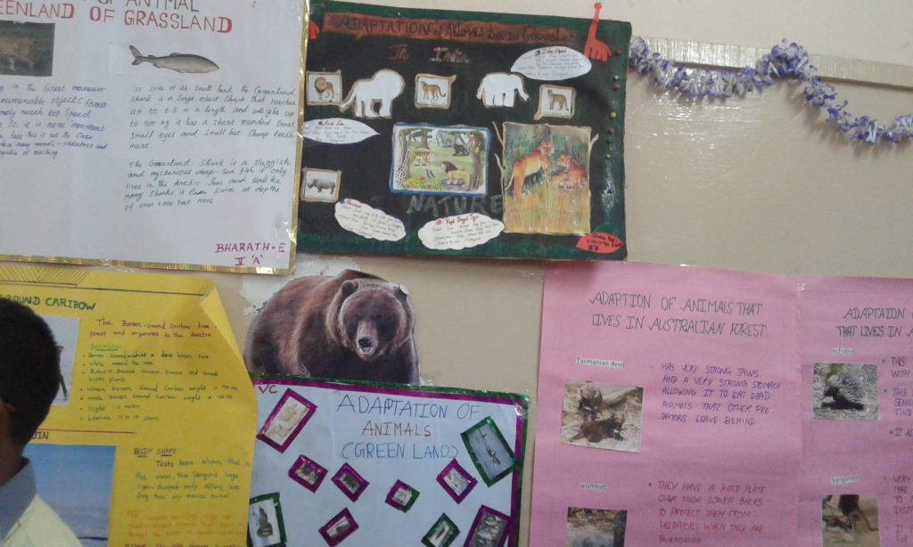 PROJECT DISPLAY IV & V