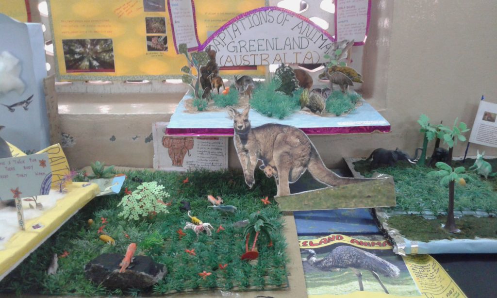 PROJECT DISPLAY IV & V