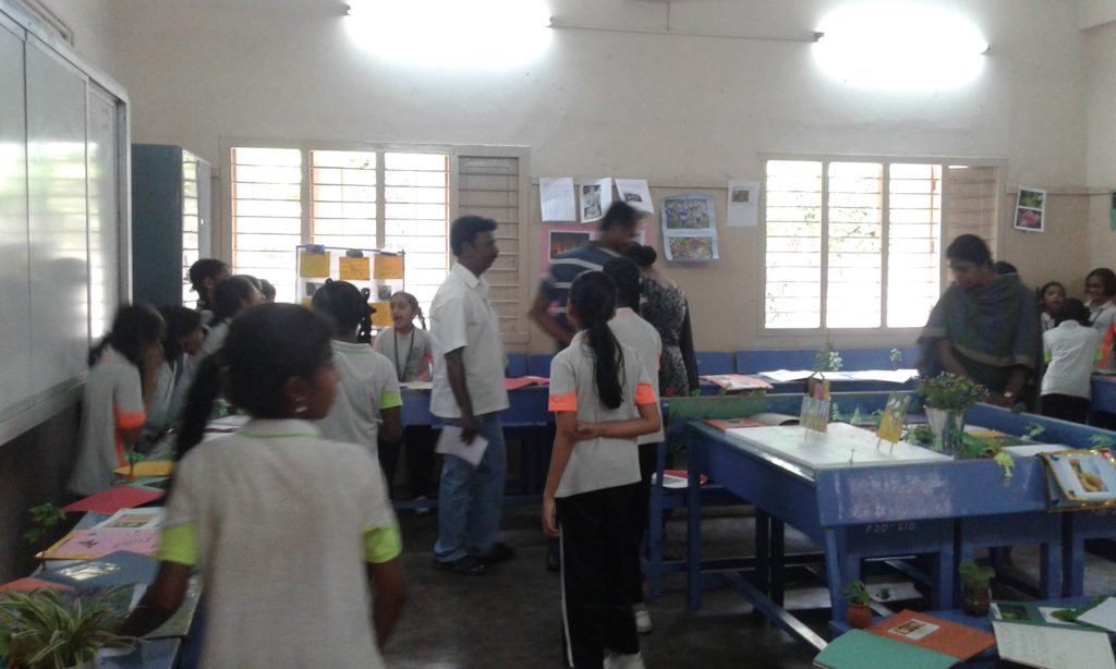 PROJECT DISPLAY IV & V