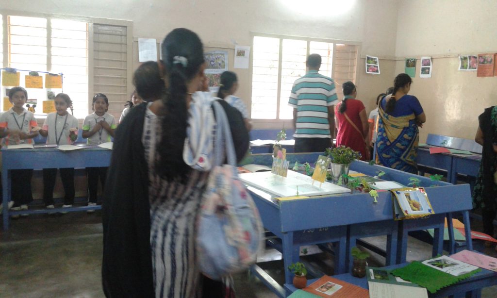 PROJECT DISPLAY IV & V