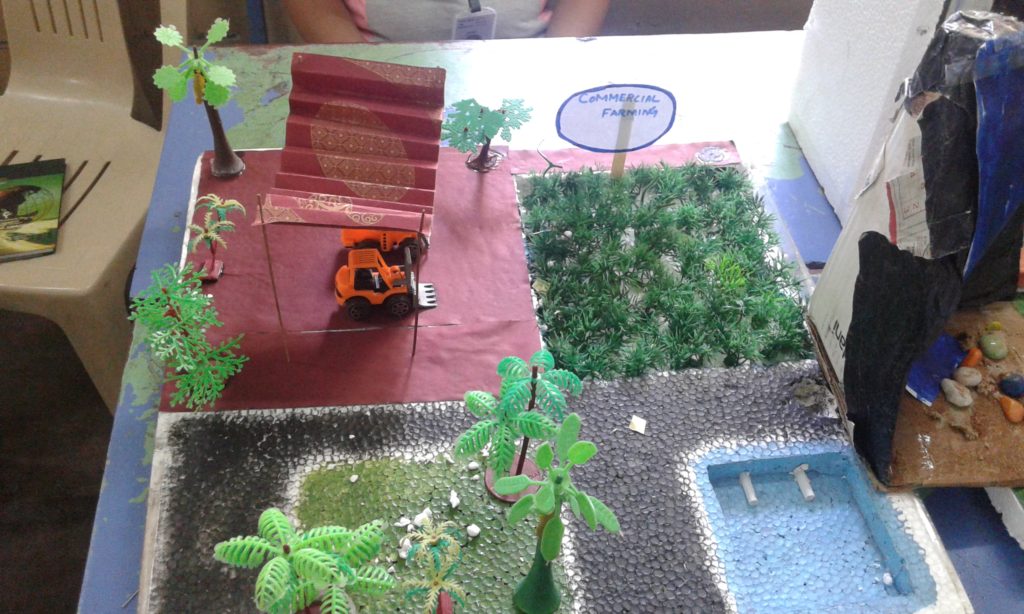 PROJECT DISPLAY - STD. VII