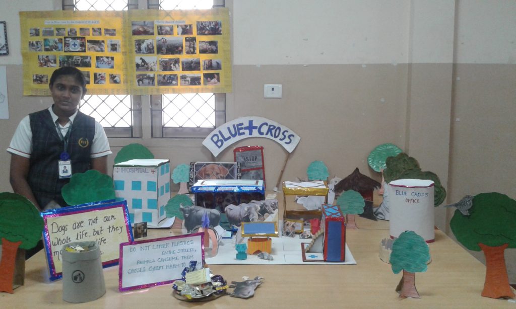 Project Display Std. IX