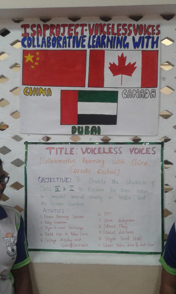 Project Display Std. IX