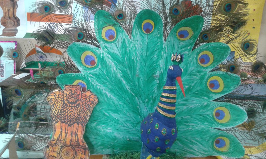 Project Display Std. V & VI