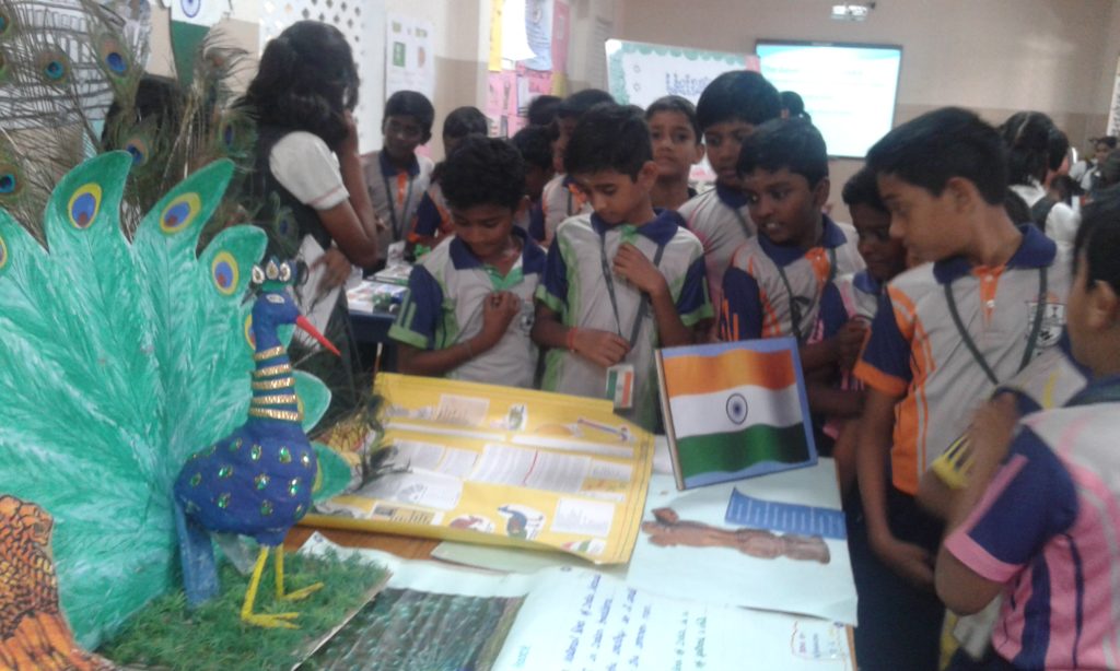 Project Display Std. V & VI