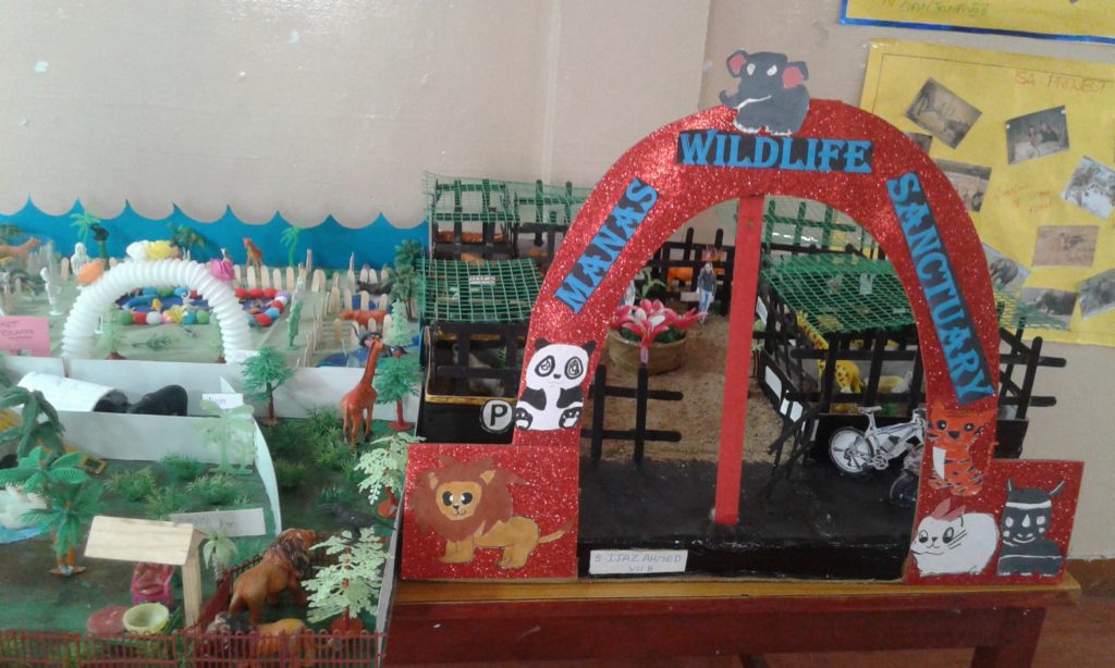 Project Display Std. VII & VIII