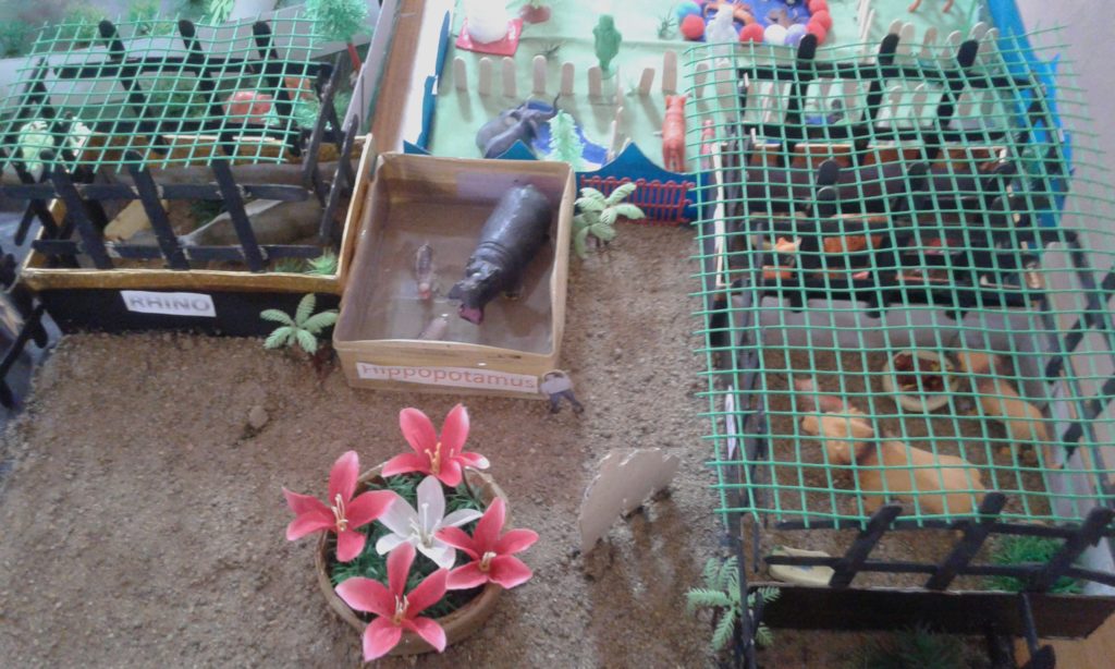 Project Display Std. VII & VIII