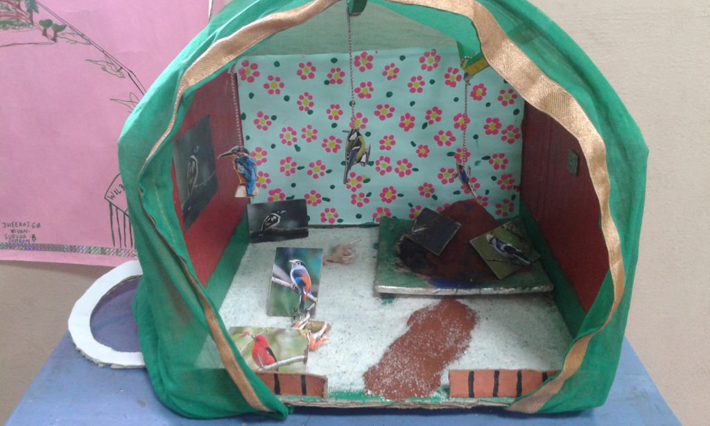 Project Display Std. VII & VIII