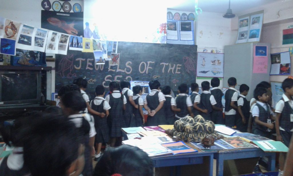 Project Display Std. I & II