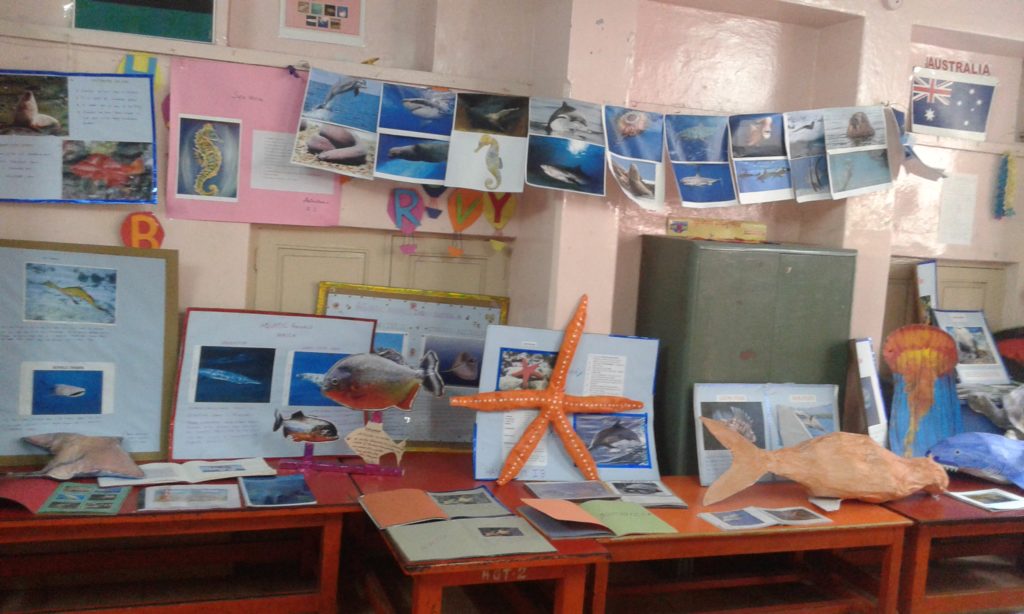 Project Display Std. I & II