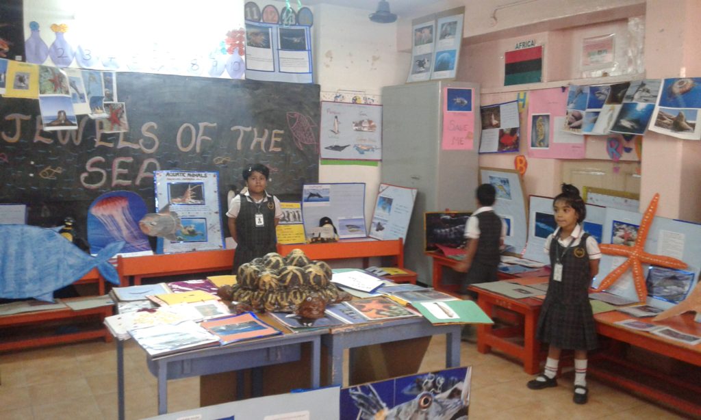 Project Display Std. I & II