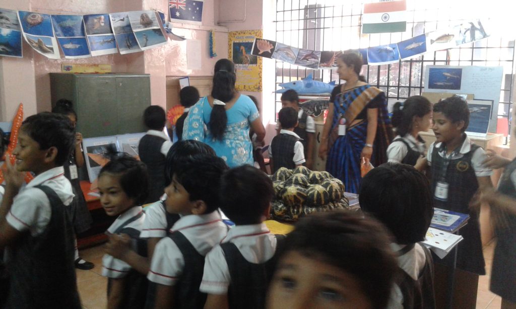 Project Display Std. I & II