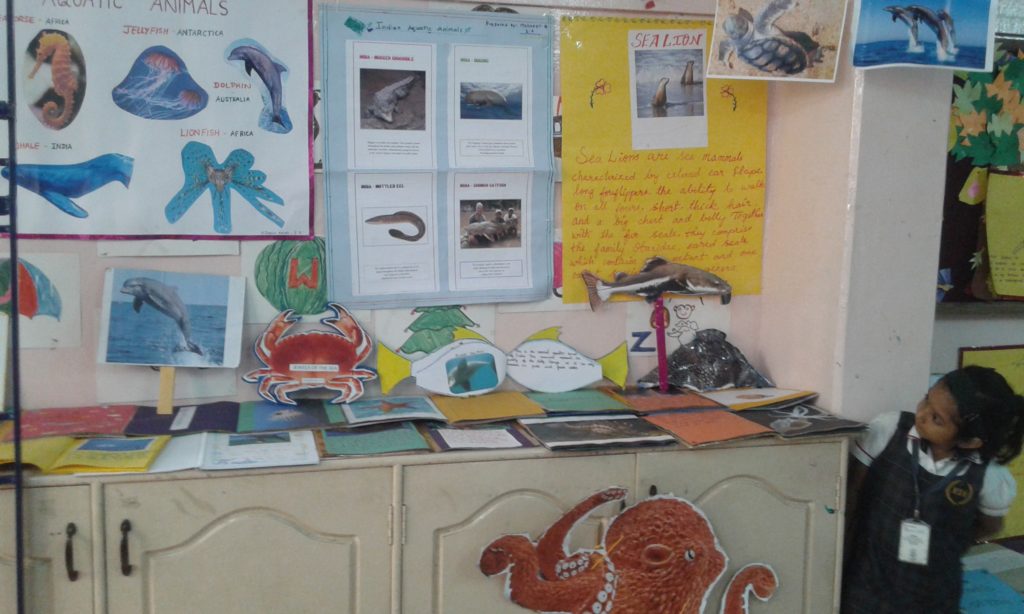 Project Display Std. I & II