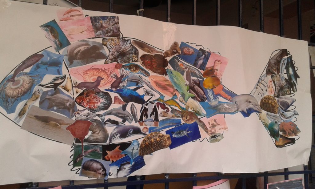 Project Display Std. I & II