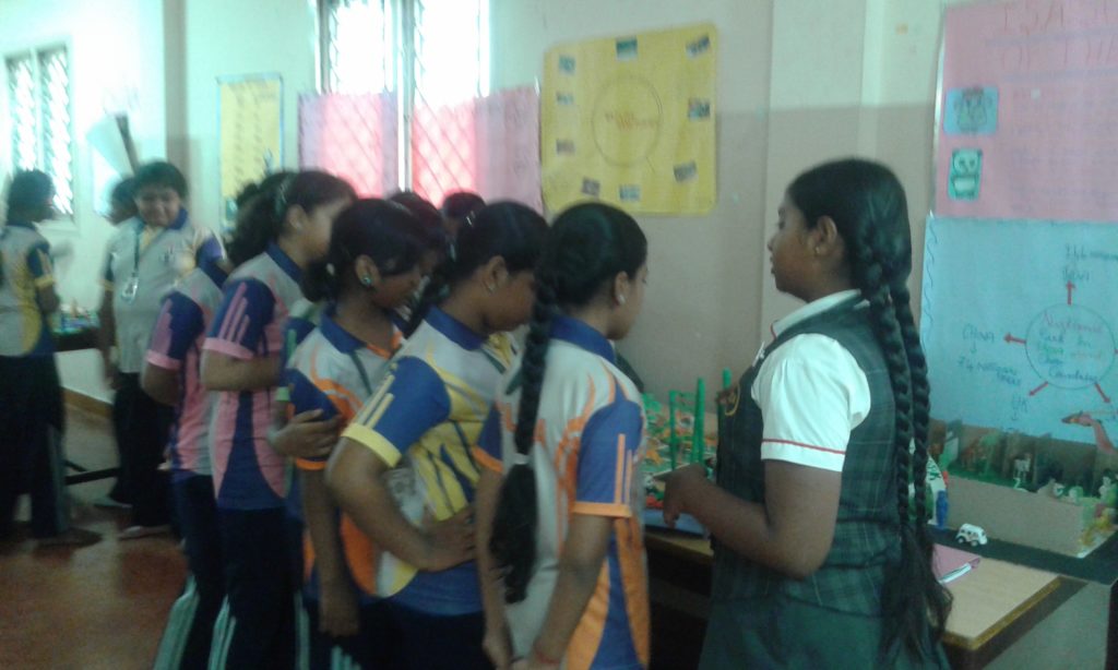 Project Display Std. VII & VIII