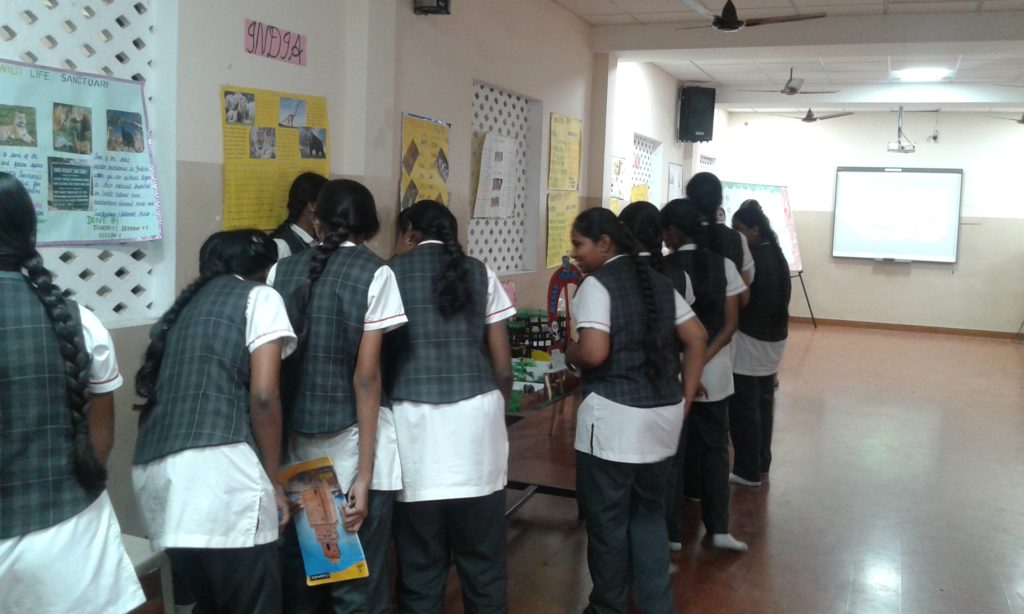 Project Display Std. VII & VIII