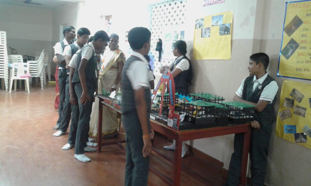 Project Display Std. VII & VIII