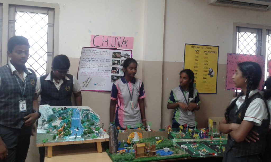 Project Display Std. VII & VIII