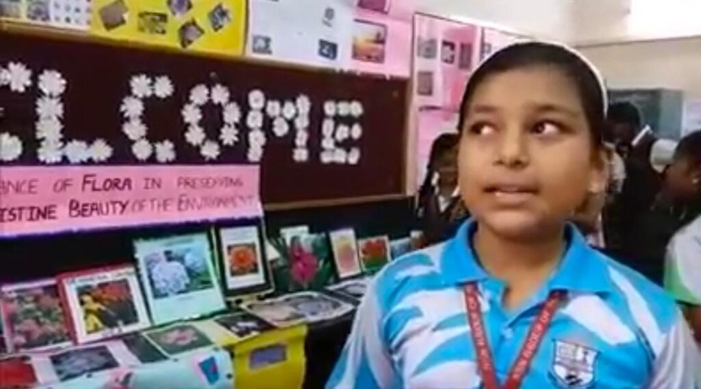 Project Display for Std. V (Topic: Blooming Blossoms)