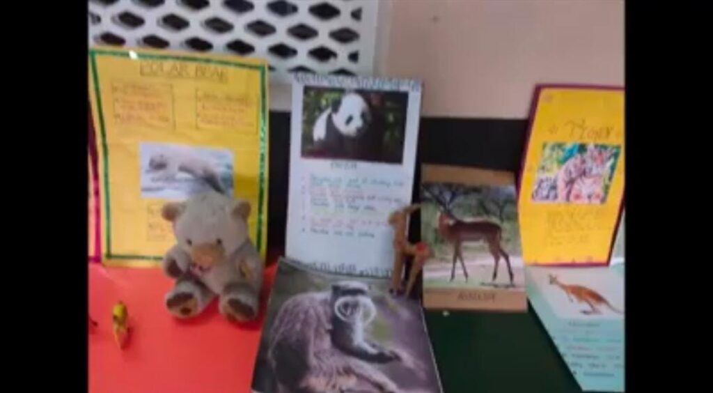 Project Display for Std. III (Topic: Diversity in Animals)