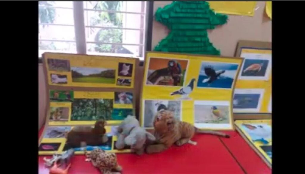 Project Display for Std. III (Topic: Diversity in Animals)