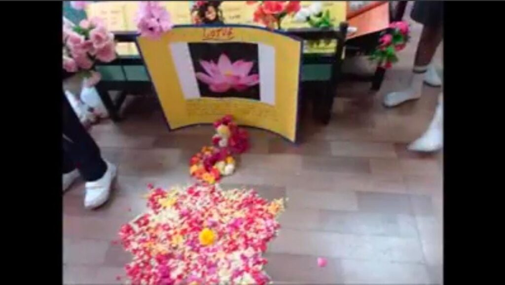 Project Display for Std. V (Topic: Blooming Blossoms)