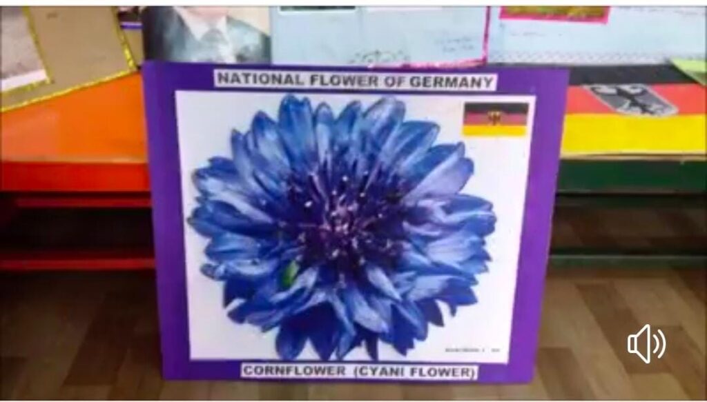 Project Display for Std. II (Topic: Scintillating Symbols)