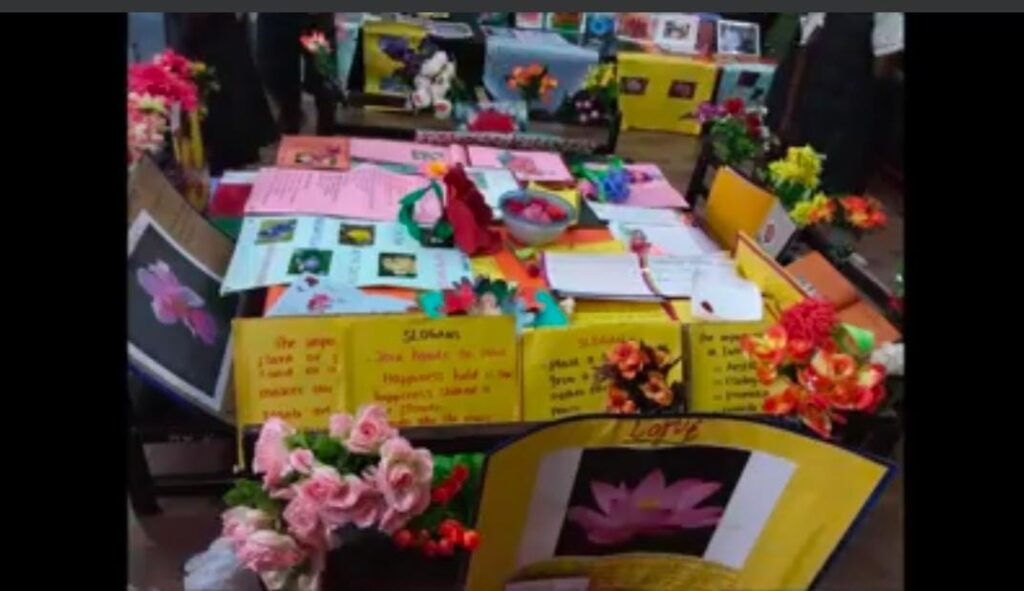 Project Display for Std. V (Topic: Blooming Blossoms)
