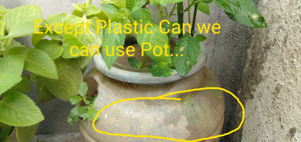 KARUNA DAY - CARE FOR THE ENVIRONMENT