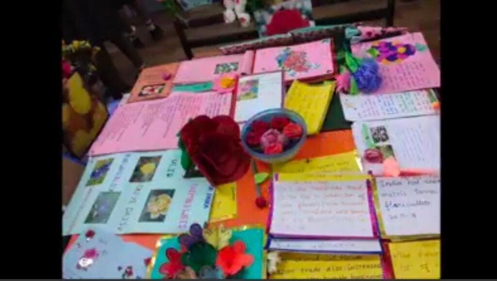 Project Display for Std. V (Topic: Blooming Blossoms)