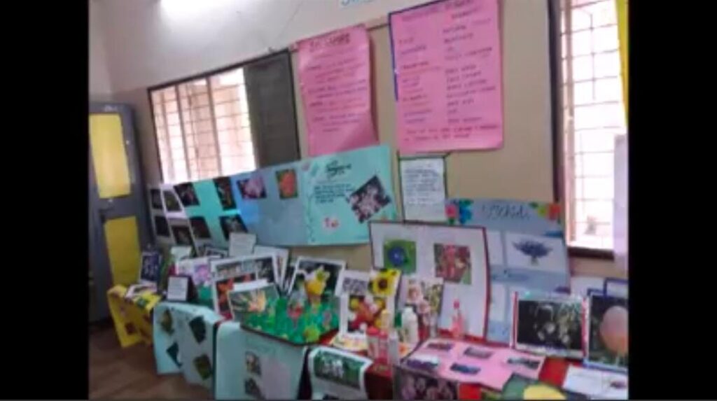 Project Display for Std. V (Topic: Blooming Blossoms)