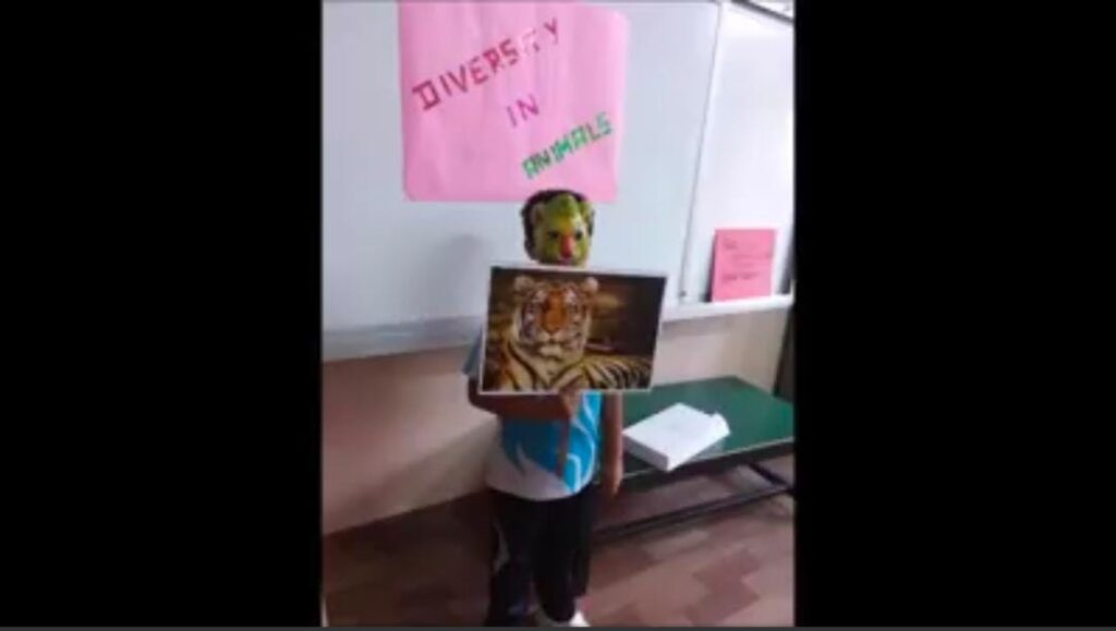 Project Display for Std. III (Topic: Diversity in Animals)