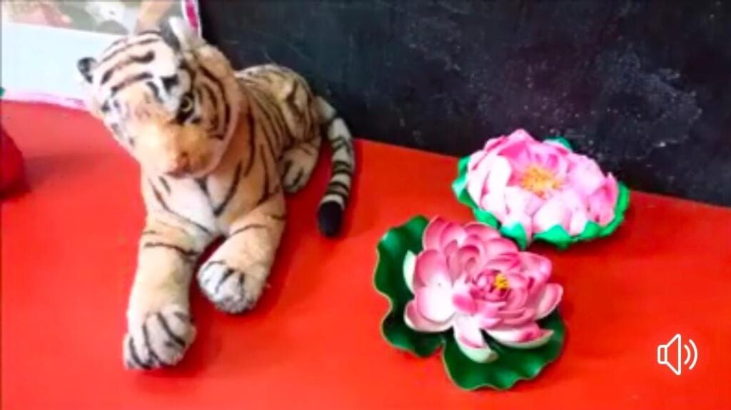 Project Display for Std. II (Topic: Scintillating Symbols)