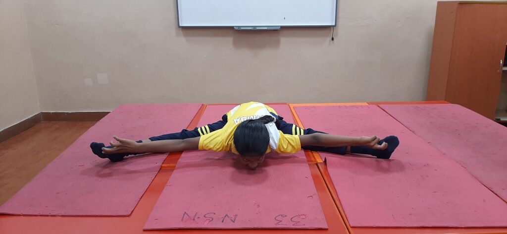 International Yoga Day 