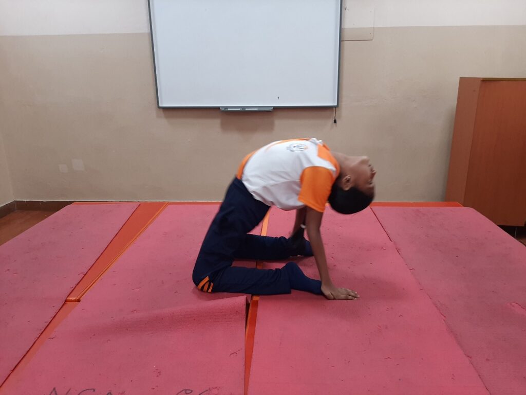 International Yoga Day 